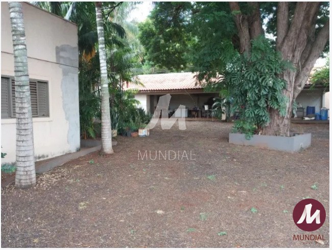 Quintal/corredores — foto 6