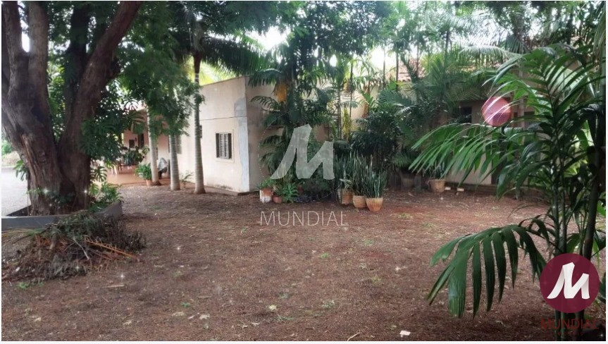 Quintal/corredores — foto 10