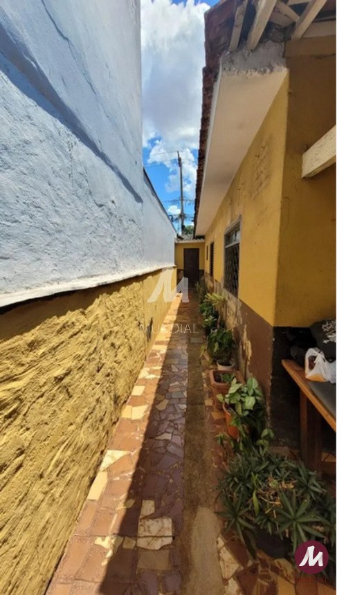 Quintal/corredores — foto 10