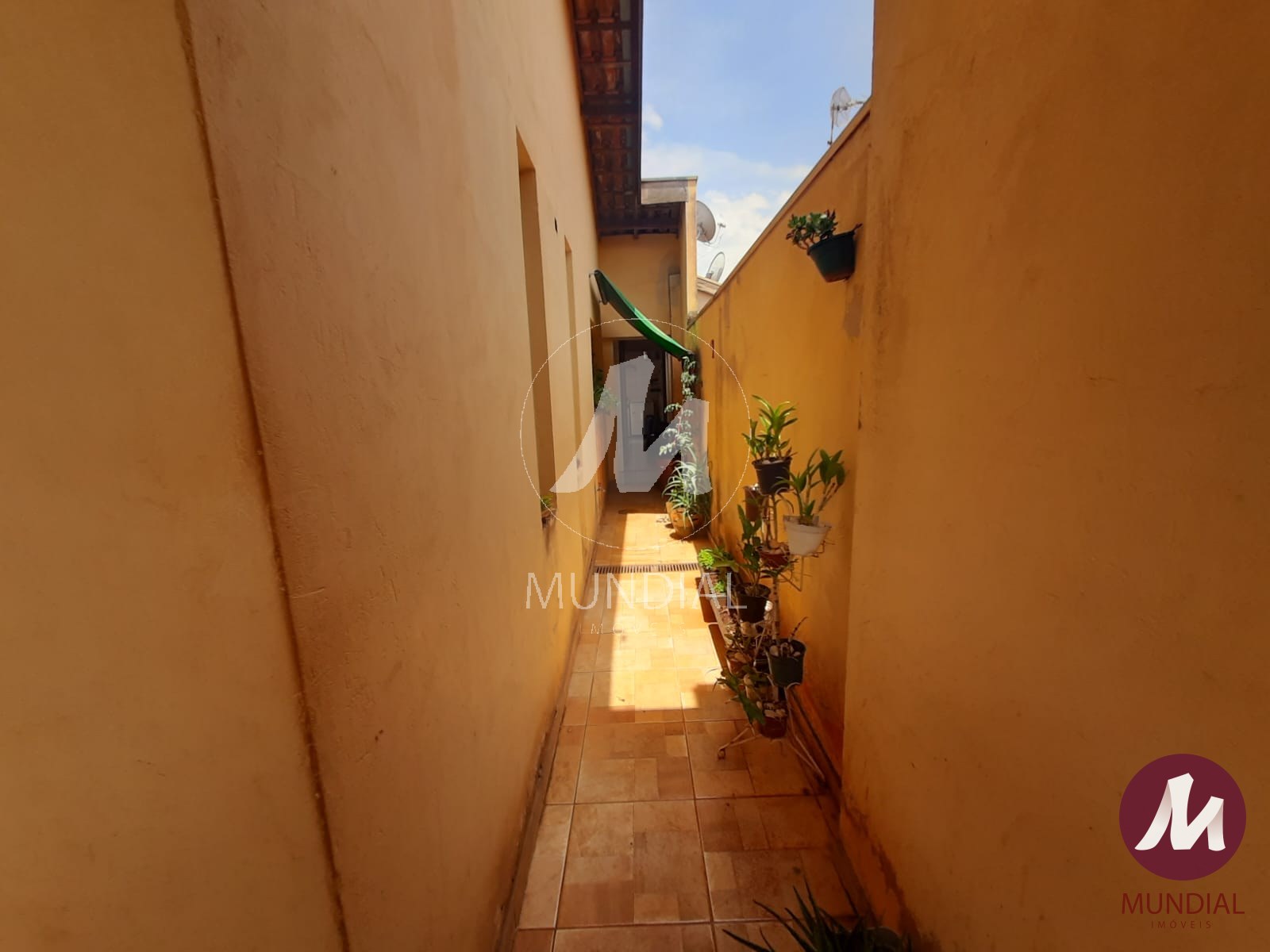 Quintal/corredores — foto 21