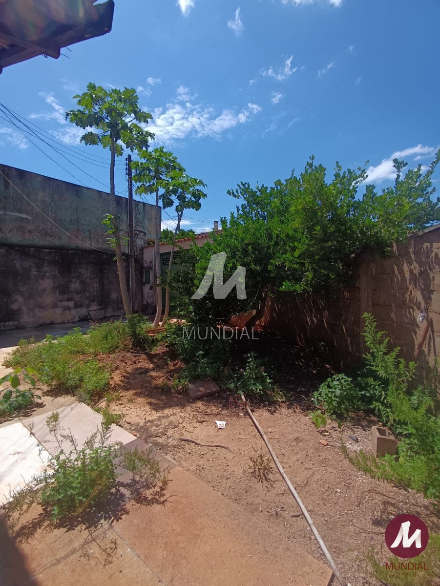 Quintal/corredores — foto 1