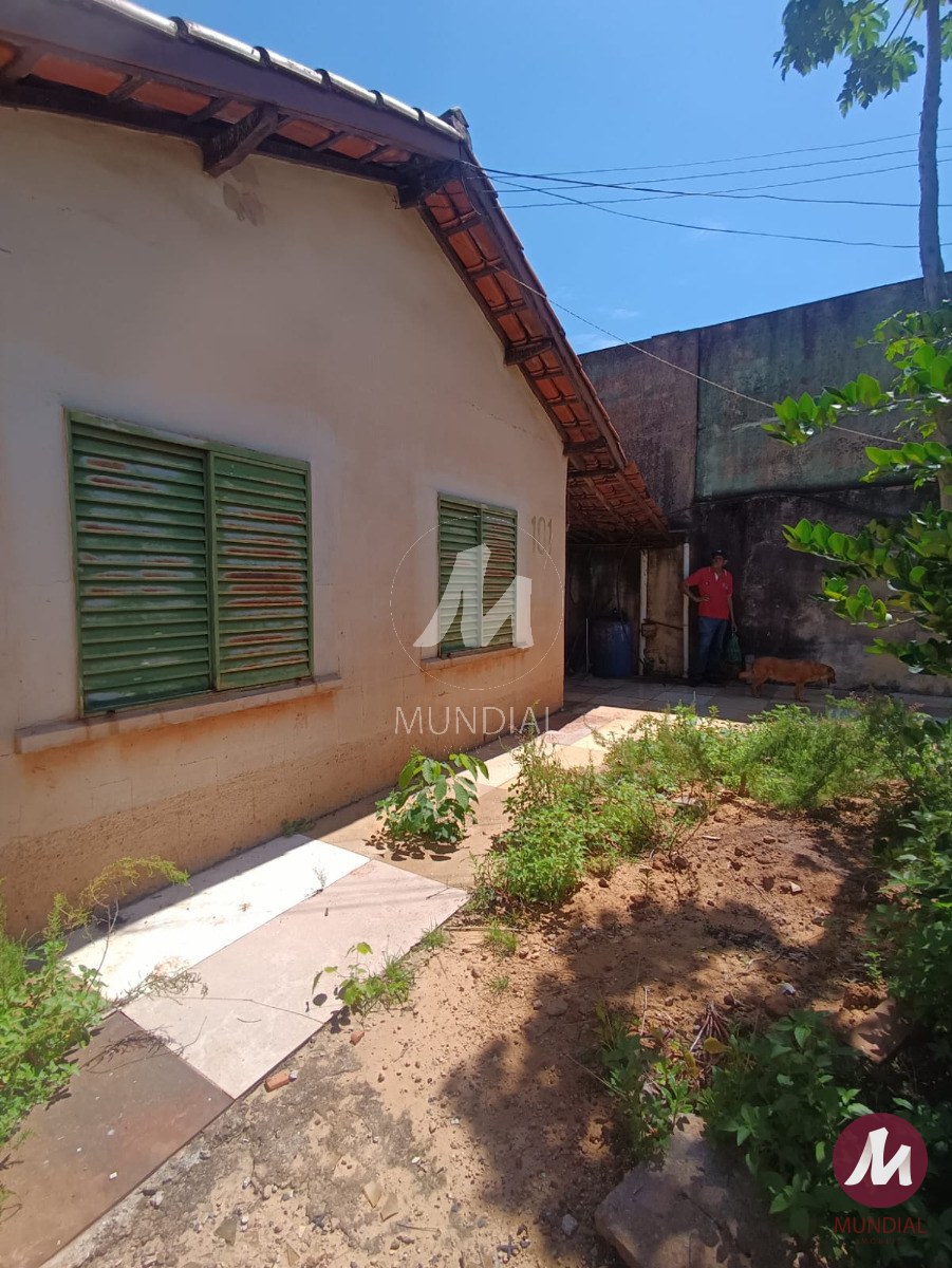 Quintal/corredores — foto 3