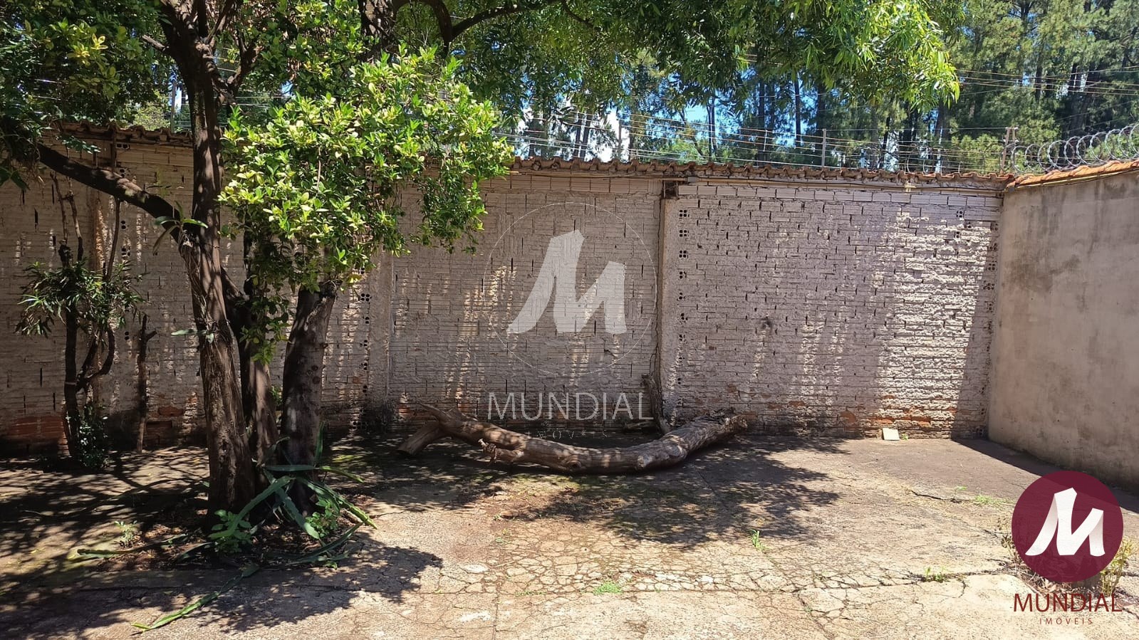 Quintal/corredores — foto 9