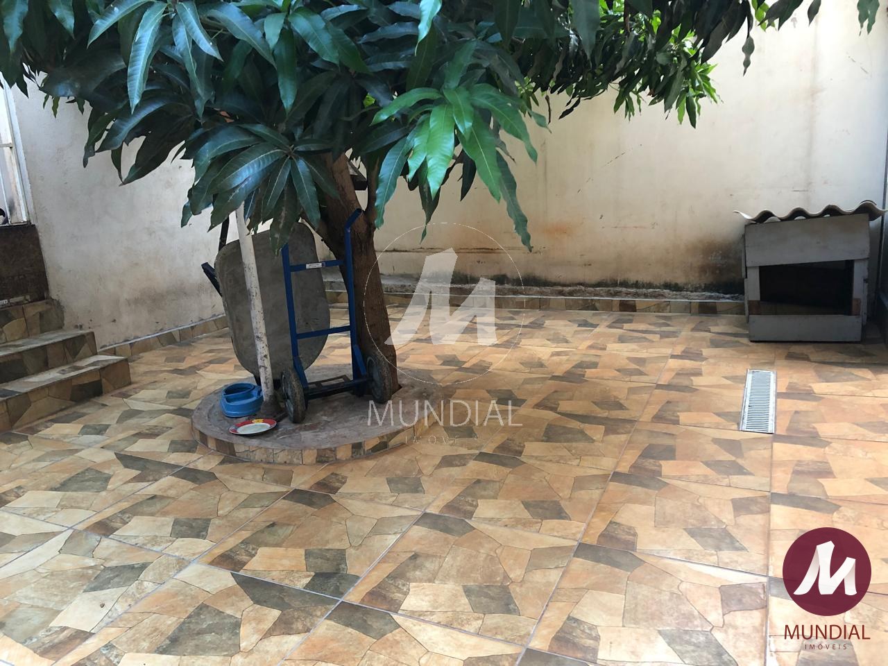 Quintal/corredores — foto 21