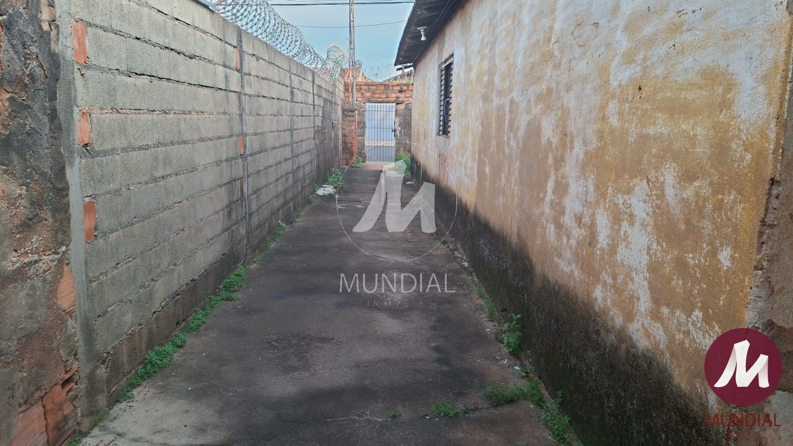 Quintal/corredores — foto 5