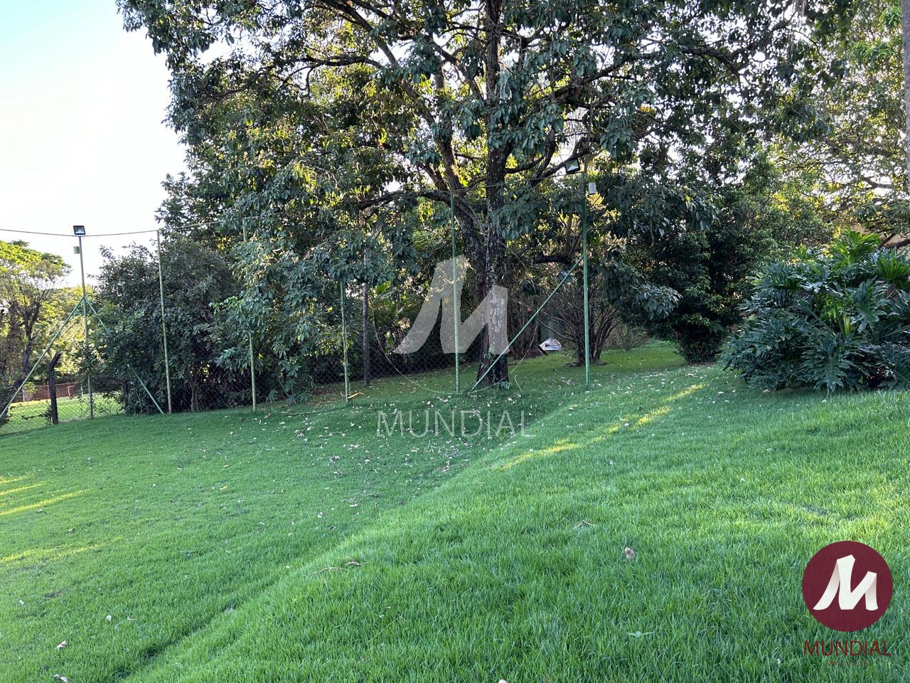 Jardim — foto 5
