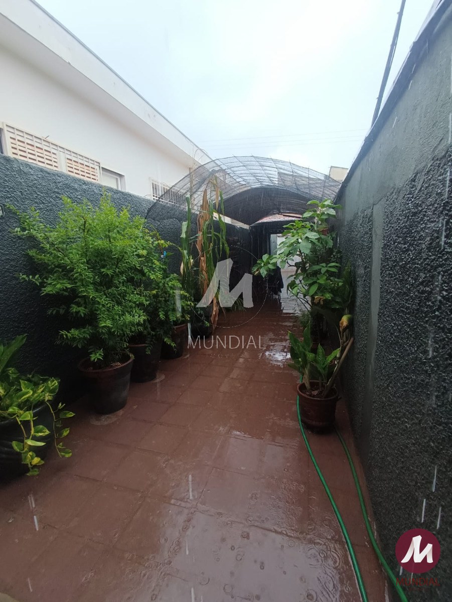 Quintal/corredores — foto 22