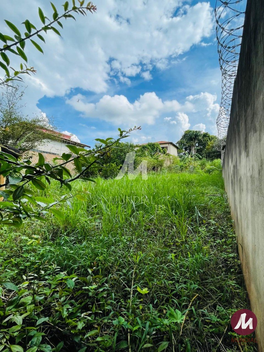 Terreno/Lote — foto 3