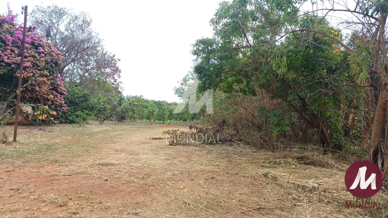 Terreno/Lote — foto 1