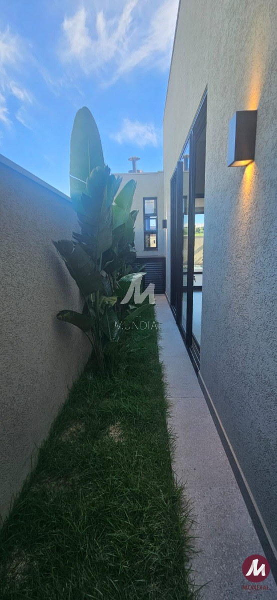Quintal/corredores — foto 8