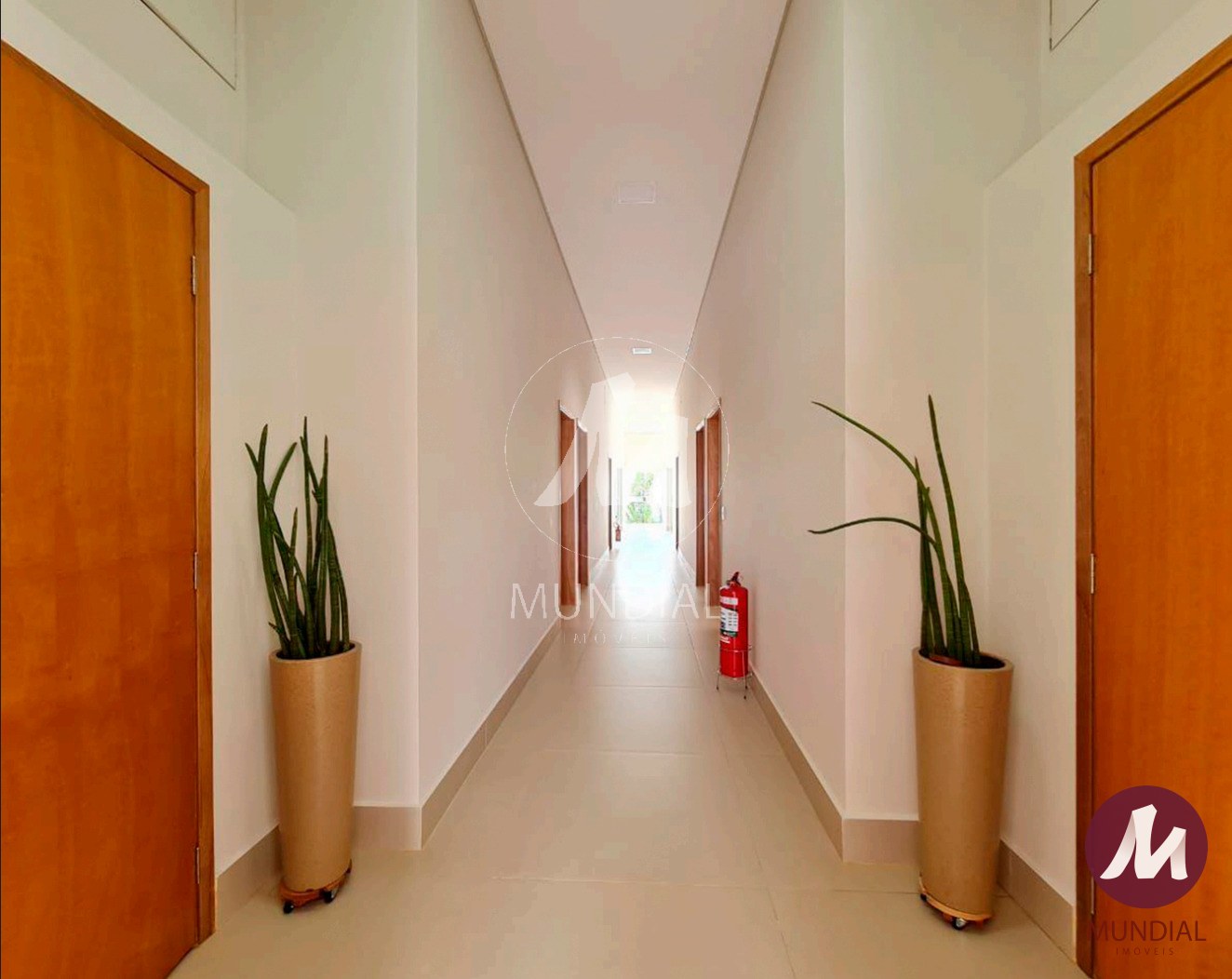 Quintal/corredores — foto 5