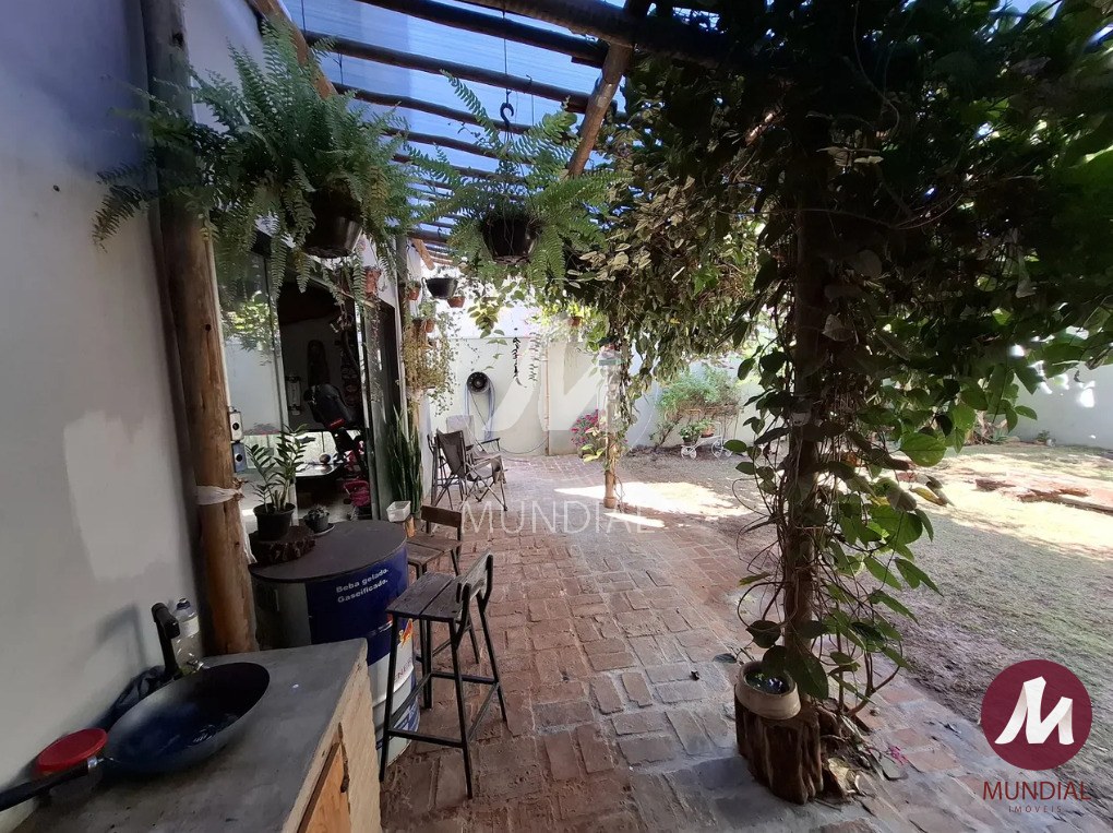 Quintal/corredores — foto 10