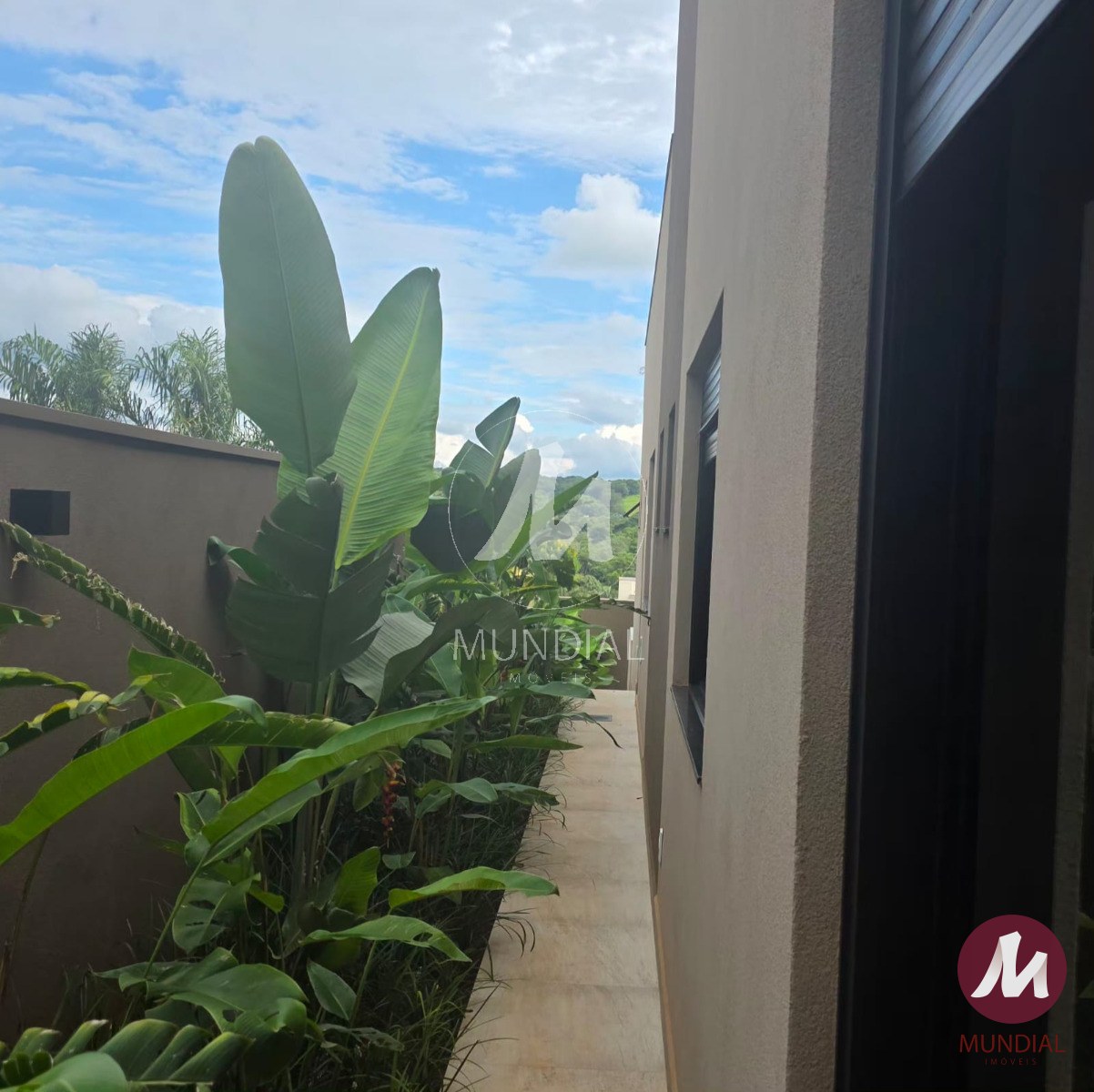 Jardim — foto 14