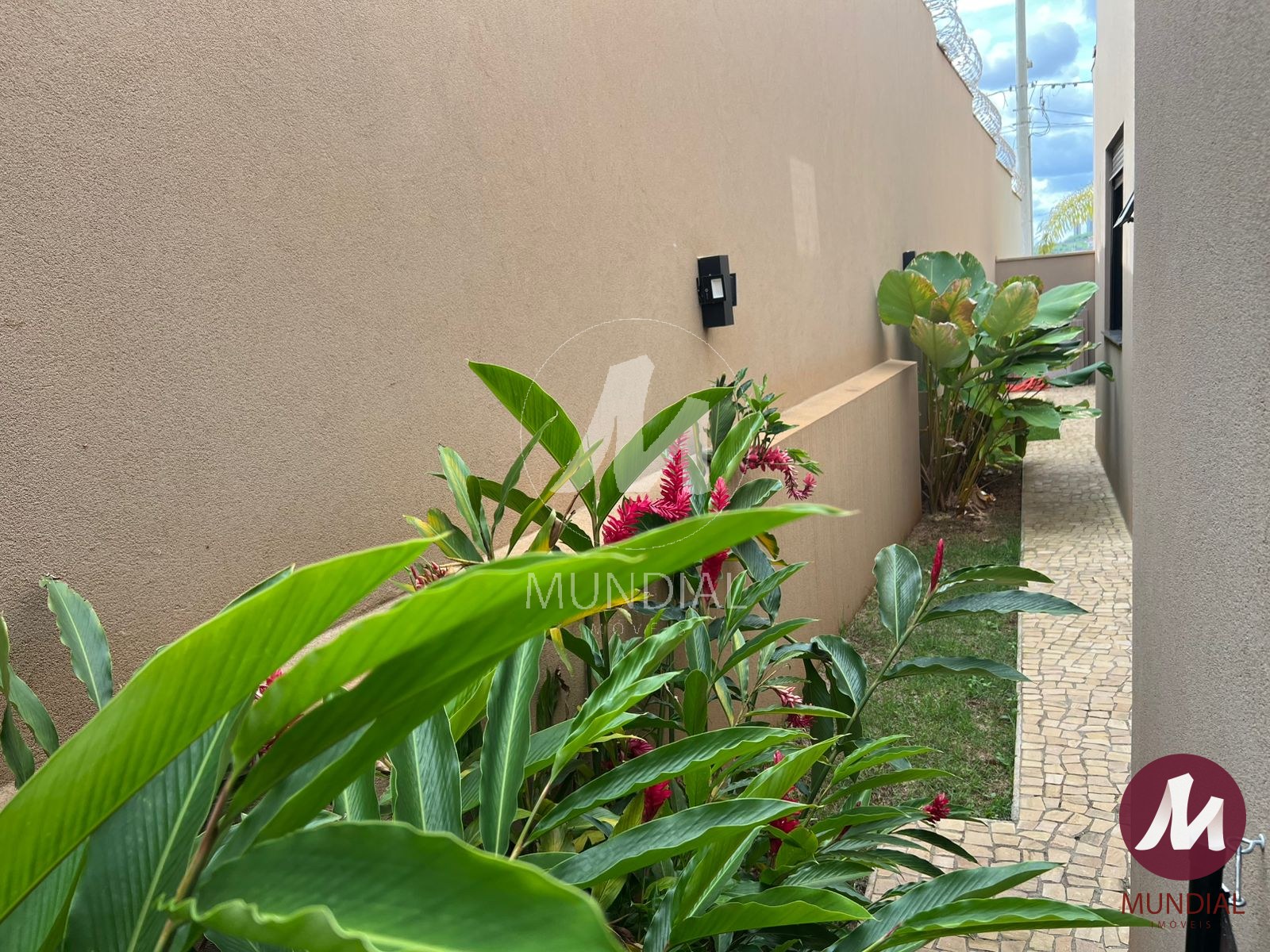 Quintal/corredores — foto 19