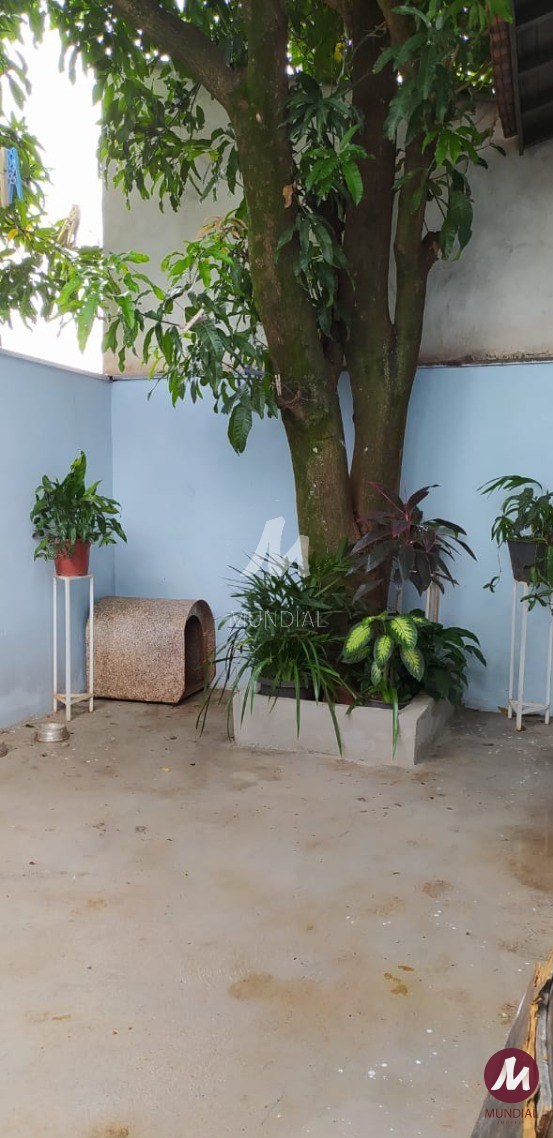 Quintal/corredores — foto 12