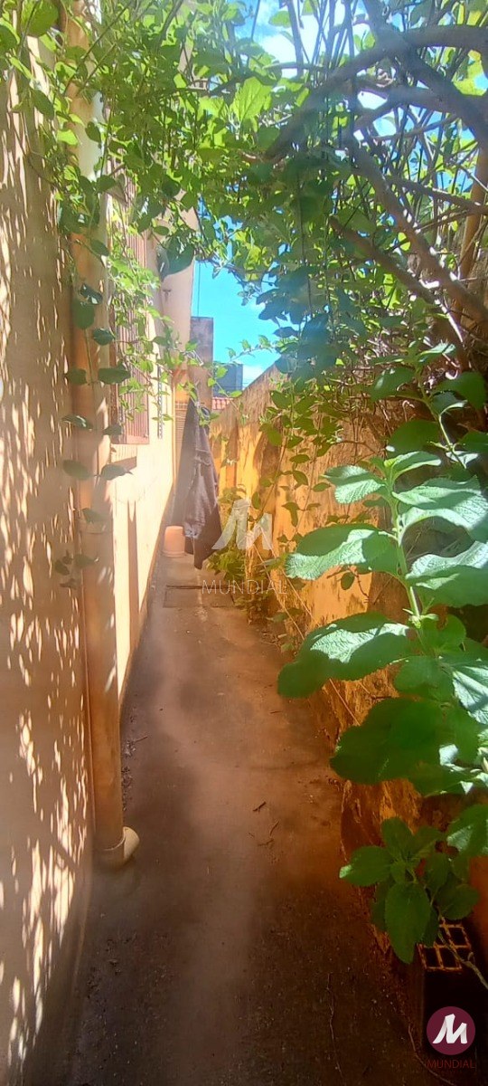 Quintal/corredores — foto 15