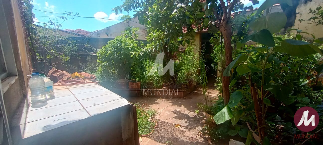 Quintal/corredores — foto 16