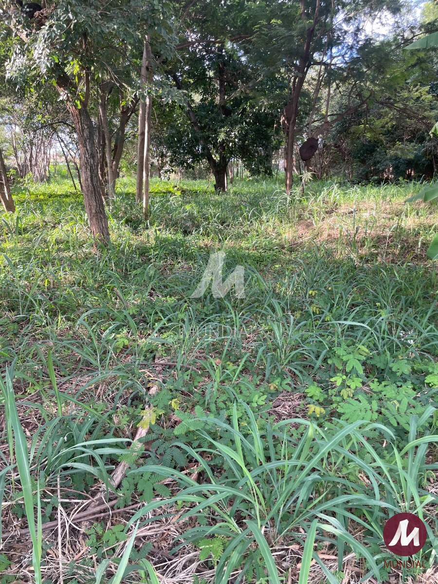 Terreno/Lote — foto 5