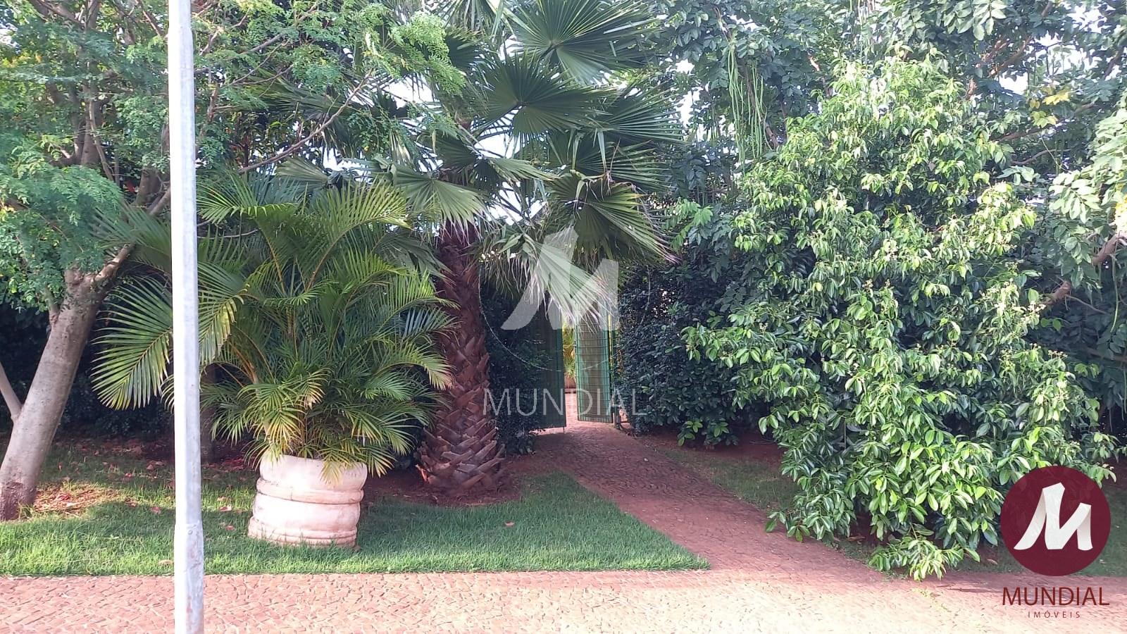 Quintal/corredores — foto 21
