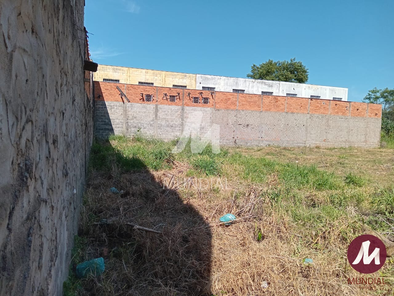 Terreno/Lote — foto 4