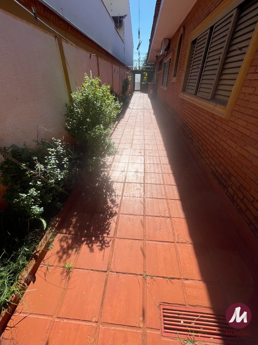 Quintal/corredores — foto 31