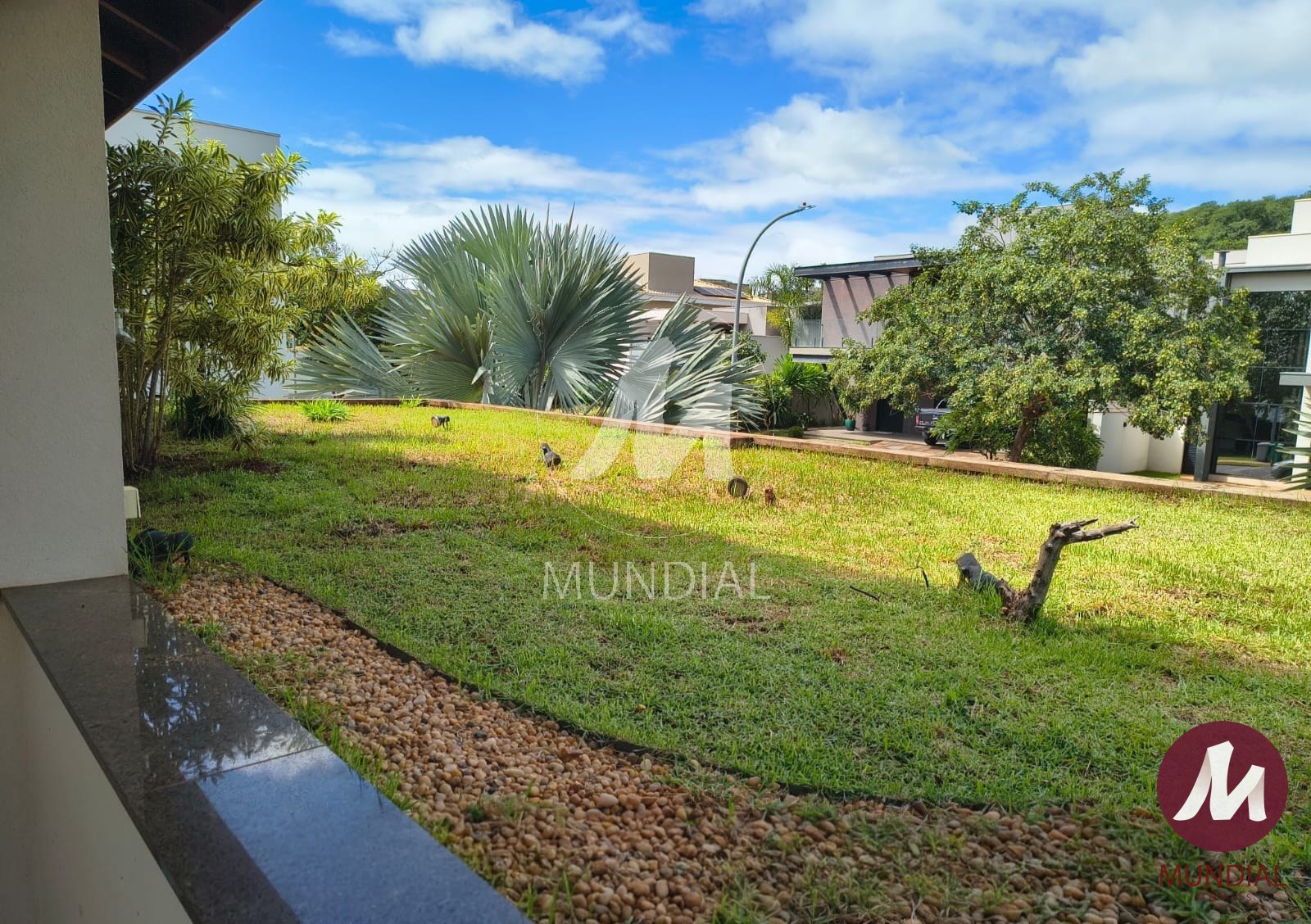Jardim — foto 8