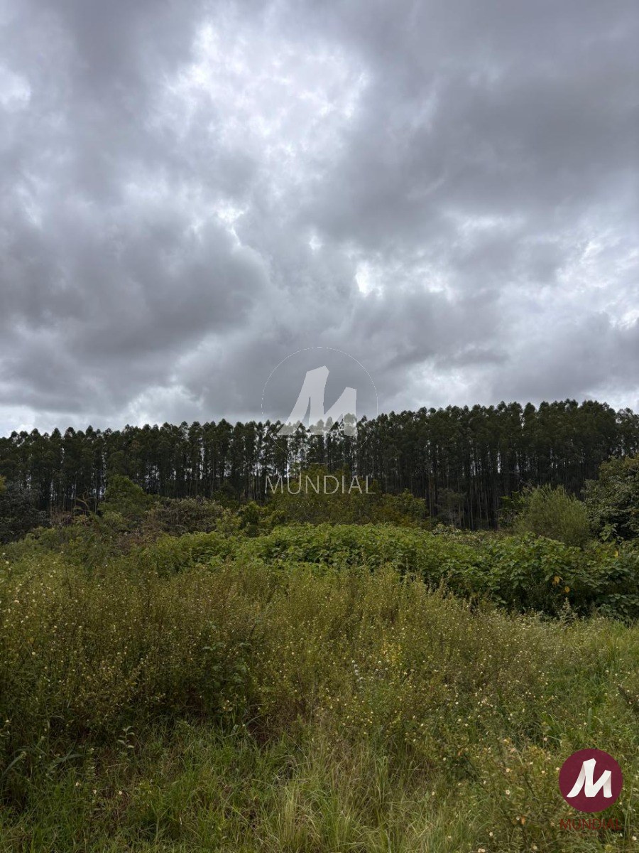 Terreno/Lote — foto 1