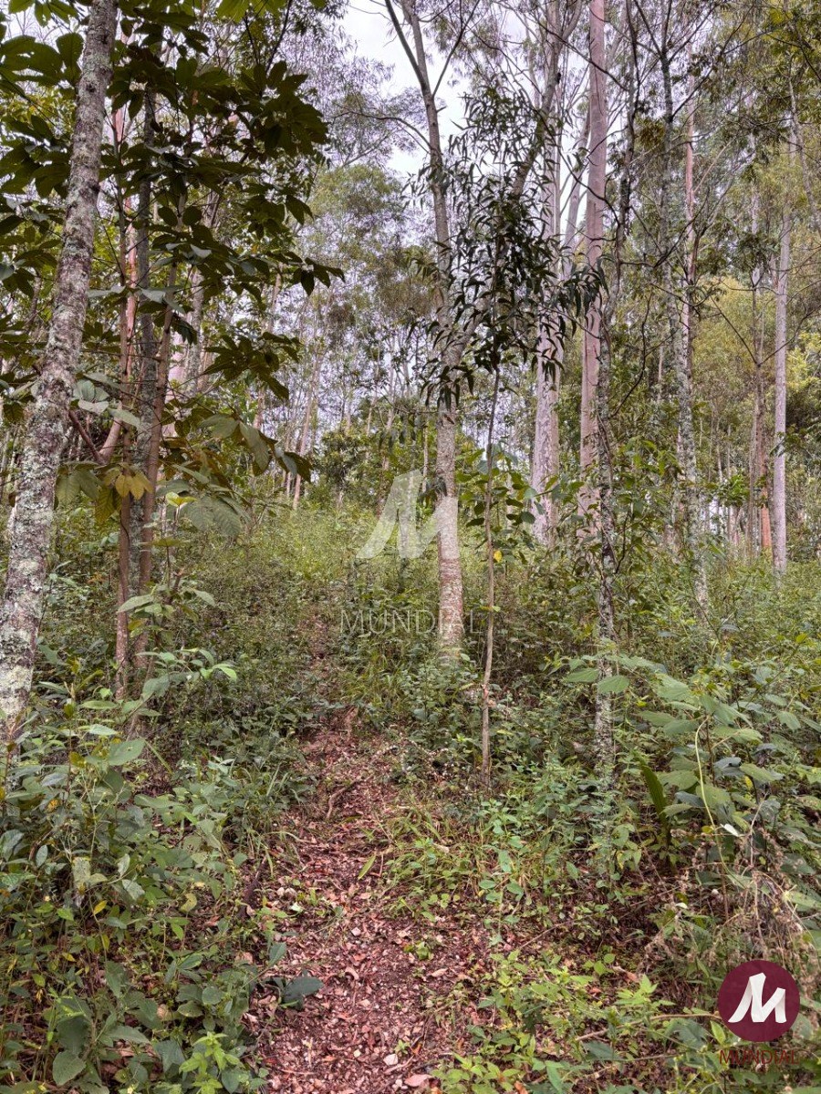 Terreno/Lote — foto 2