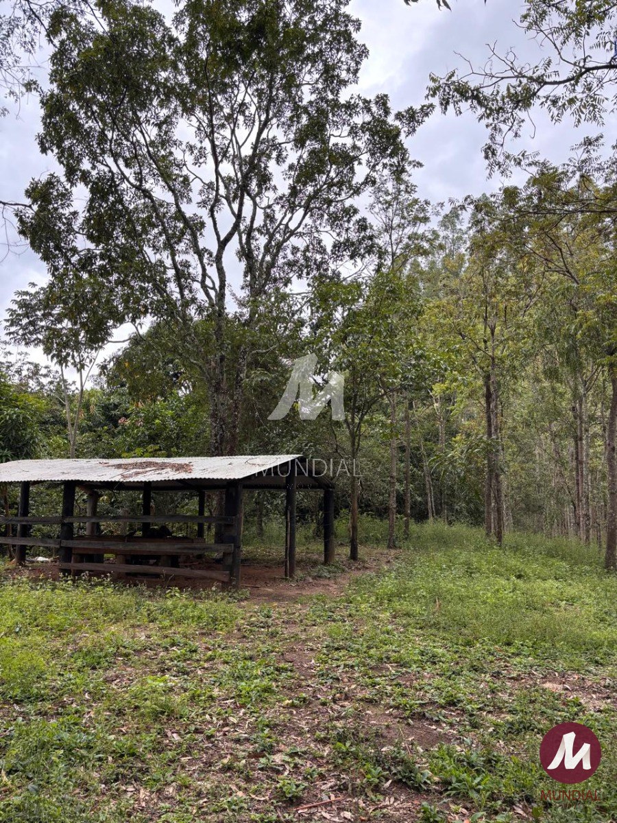 Terreno/Lote — foto 3