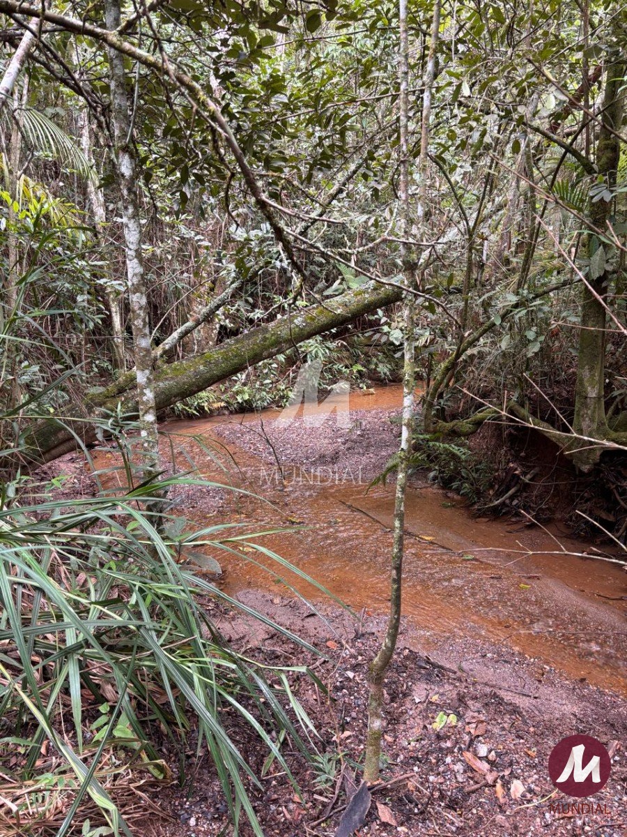 Terreno/Lote — foto 4