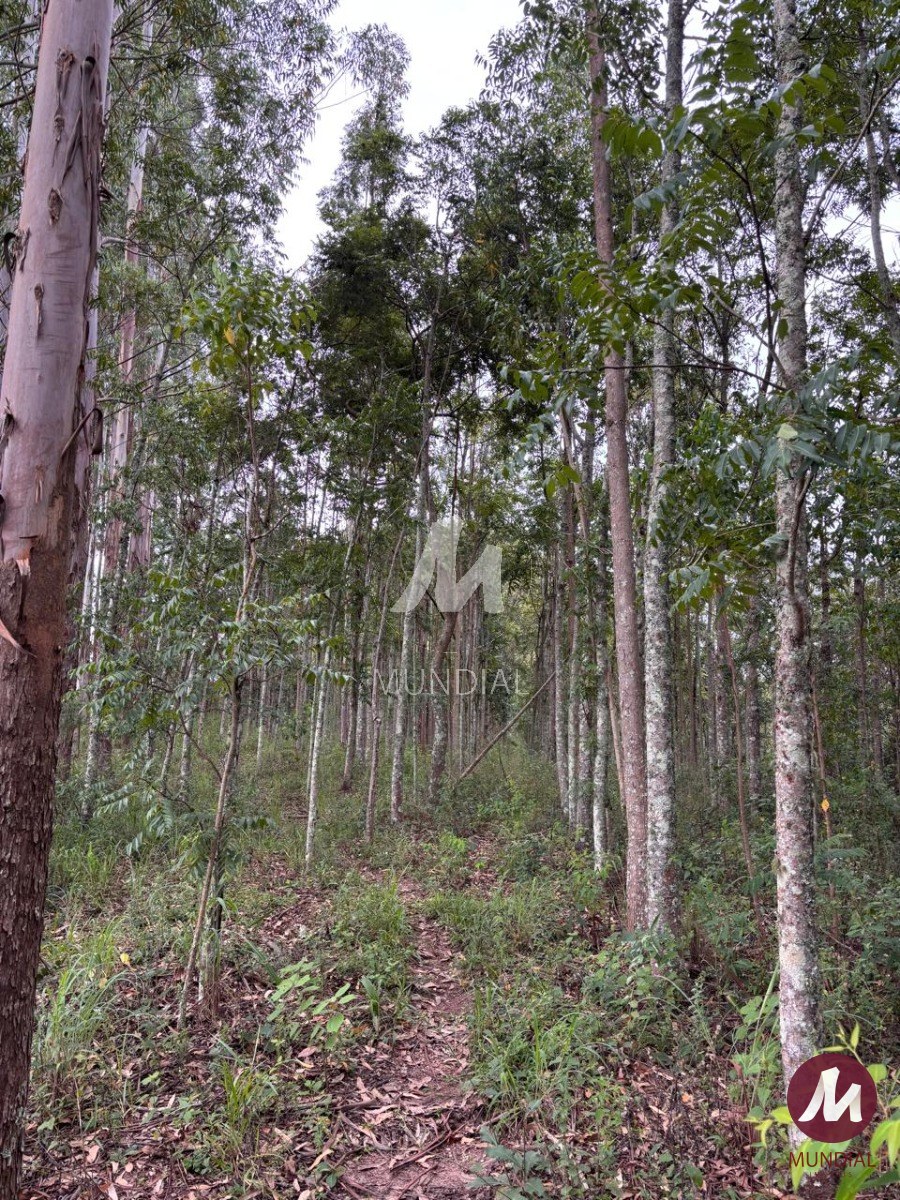 Terreno/Lote — foto 5