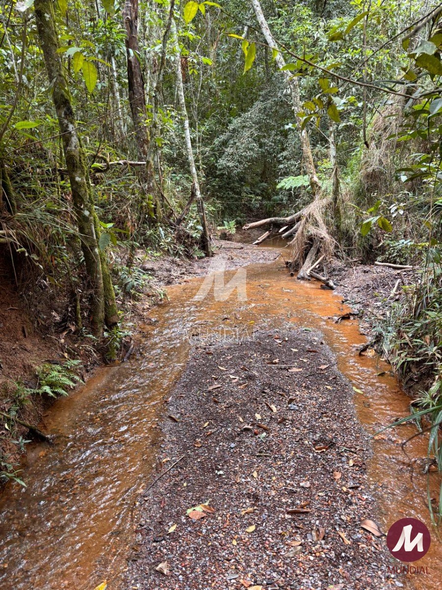 Terreno/Lote — foto 6