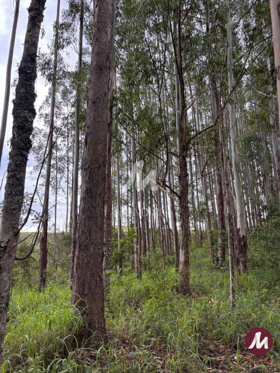 Terreno/Lote — foto 7