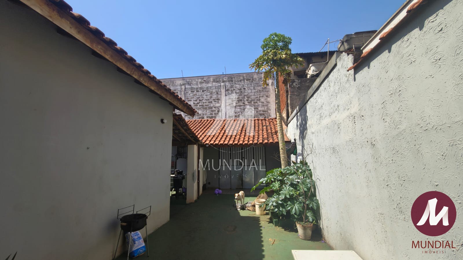 Quintal/corredores — foto 14