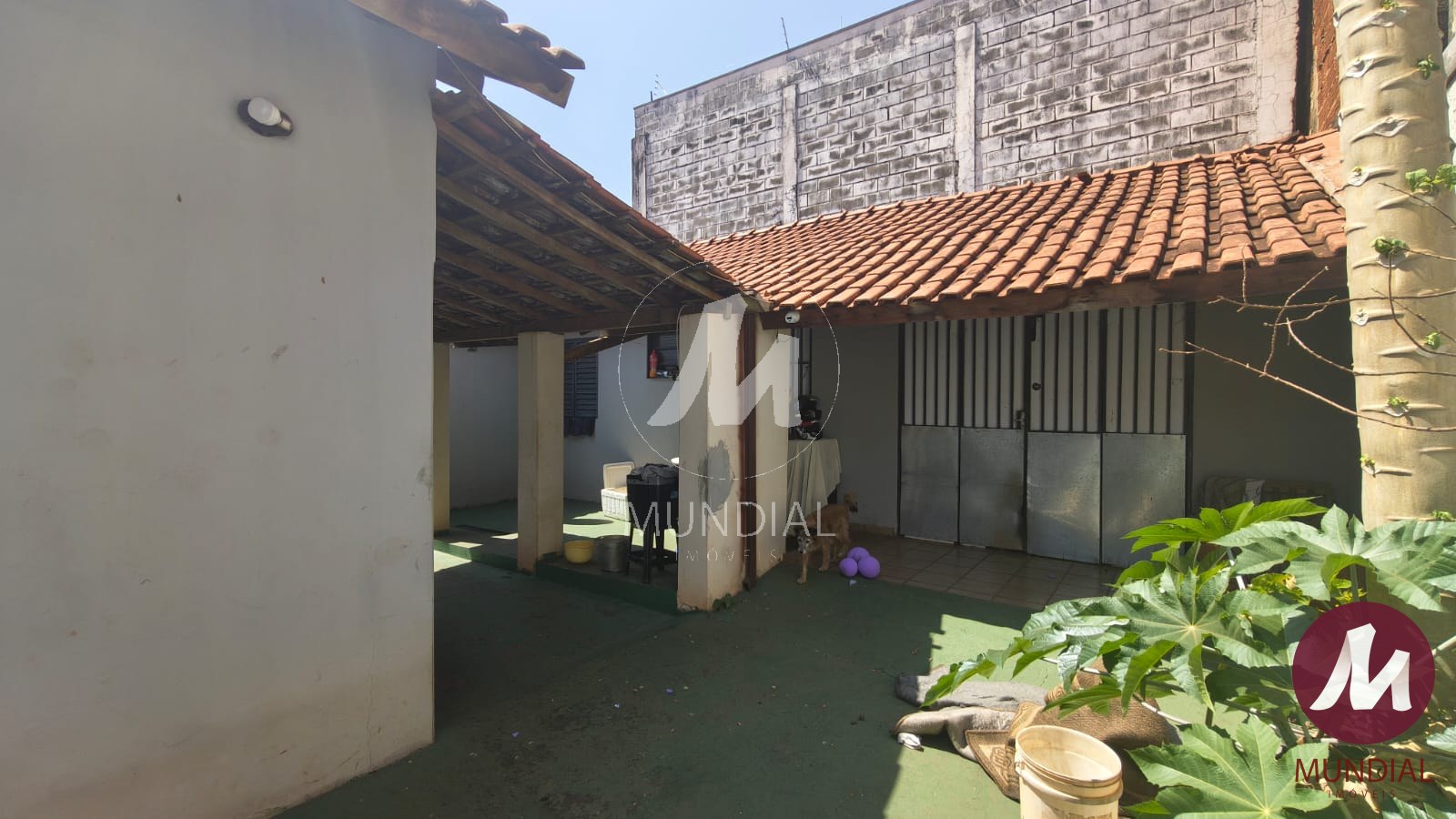 Quintal/corredores — foto 15