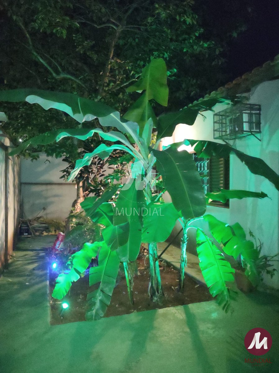 Jardim — foto 19
