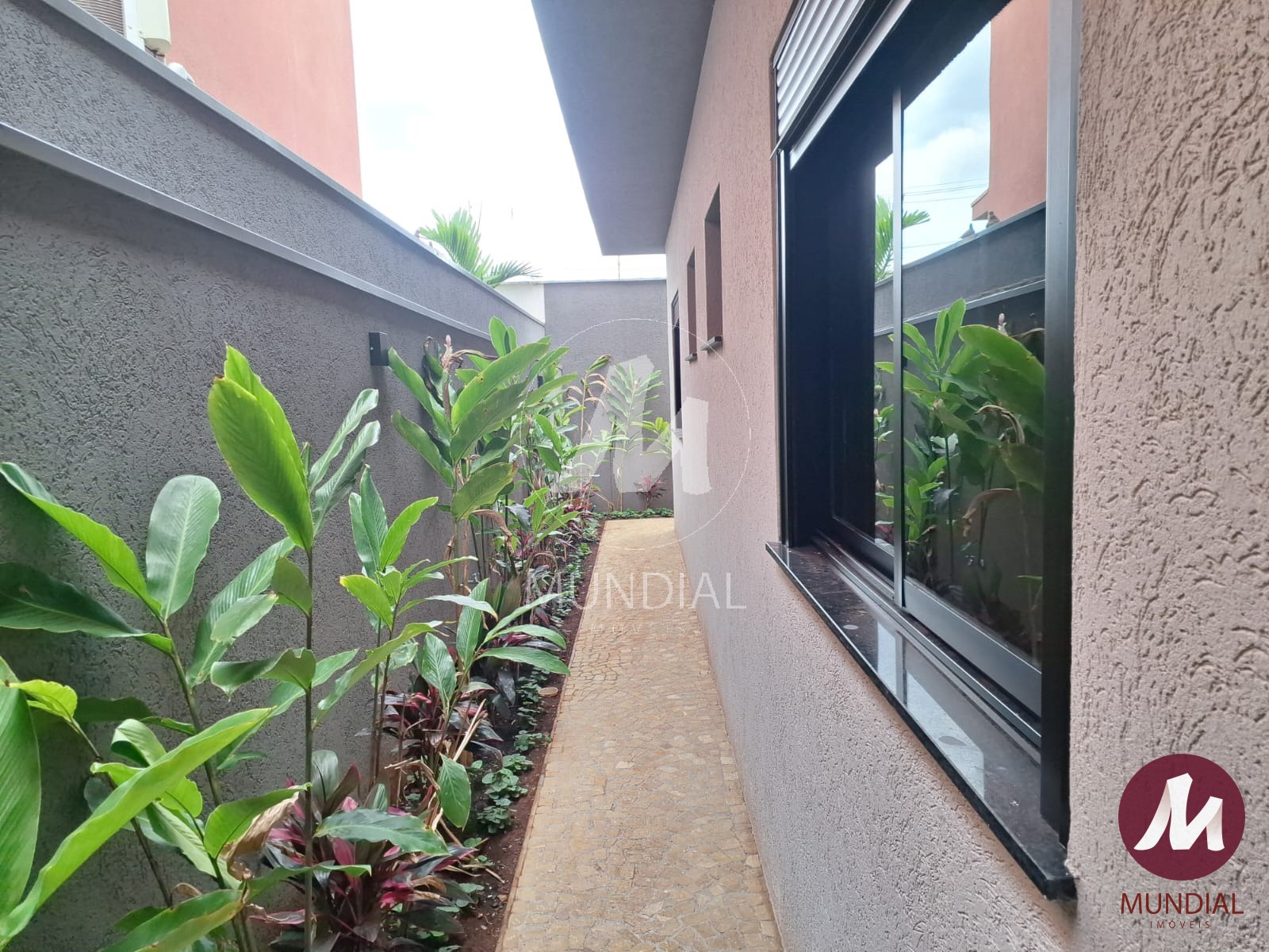 Quintal/corredores — foto 9