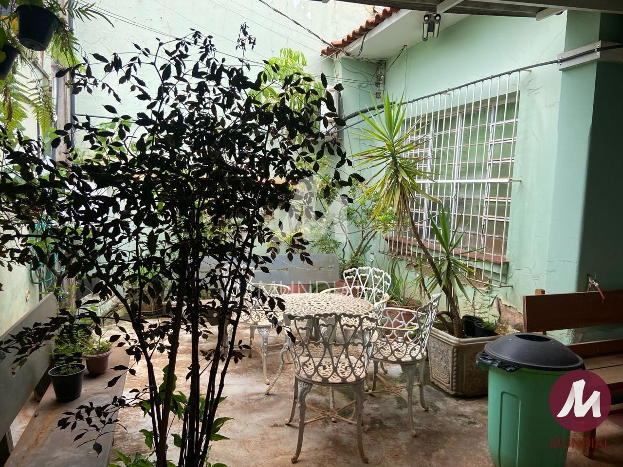 Quintal/corredores — foto 16