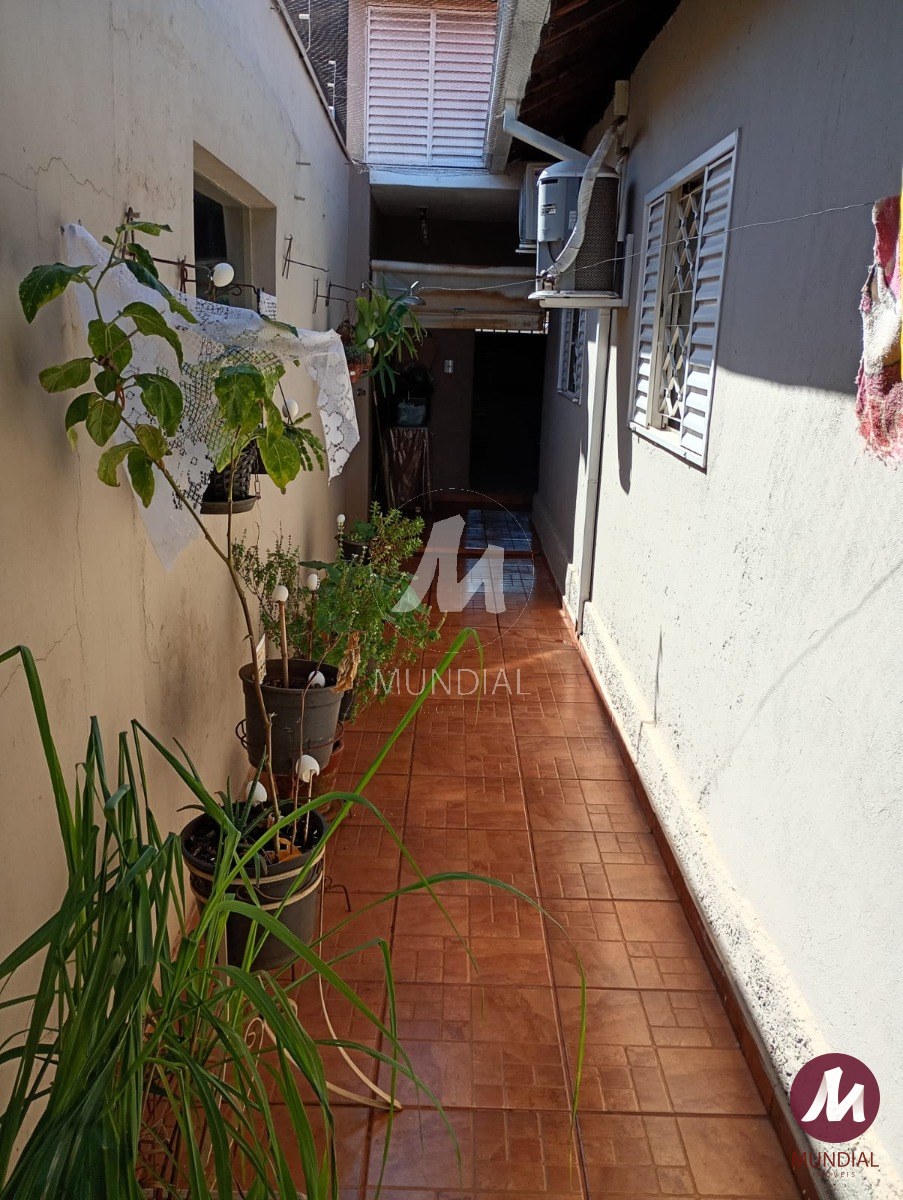 Quintal/corredores — foto 29