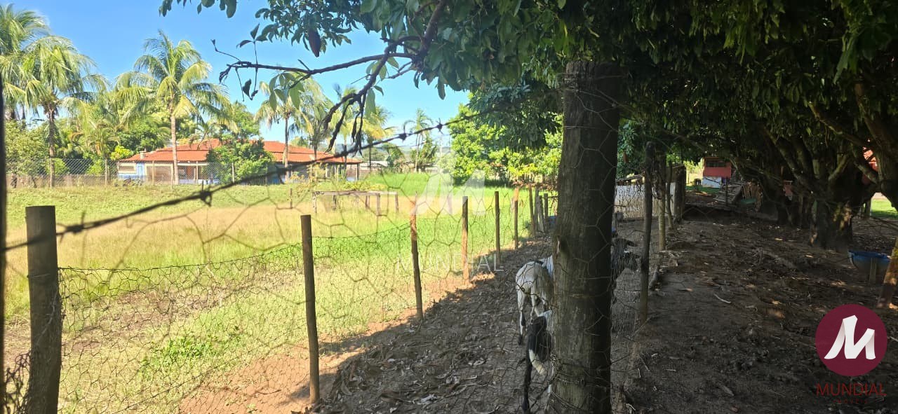 Outras — foto 13