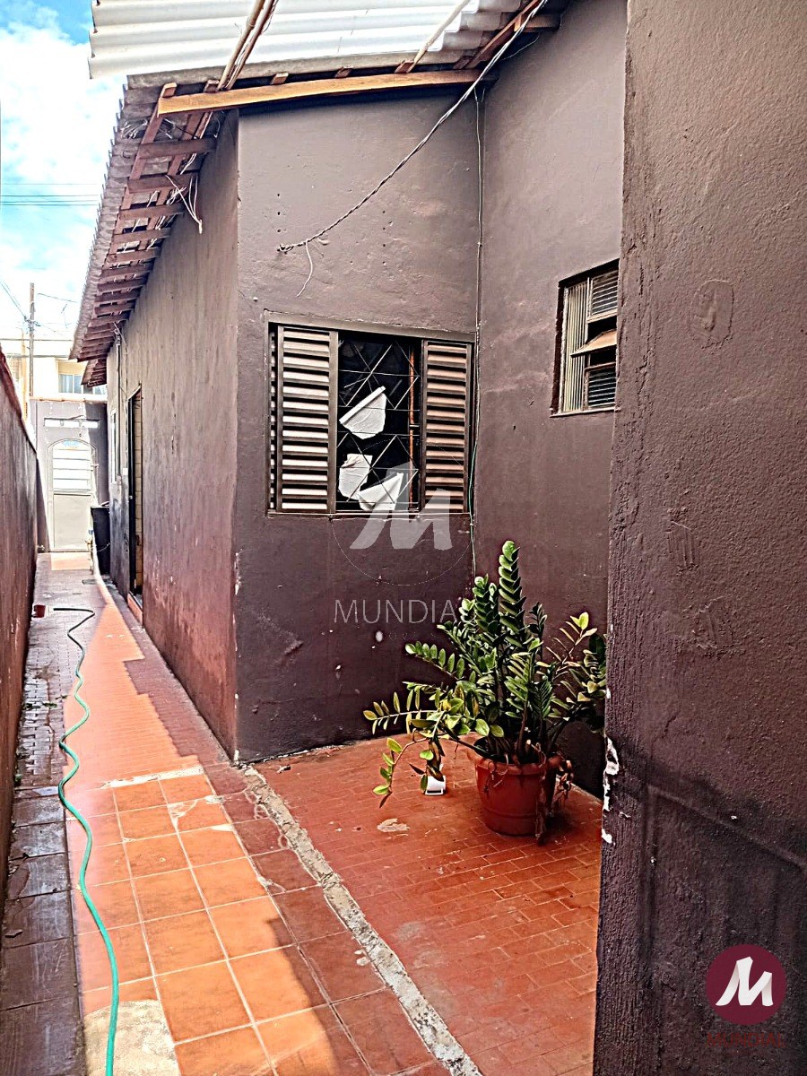 Quintal/corredores — foto 13