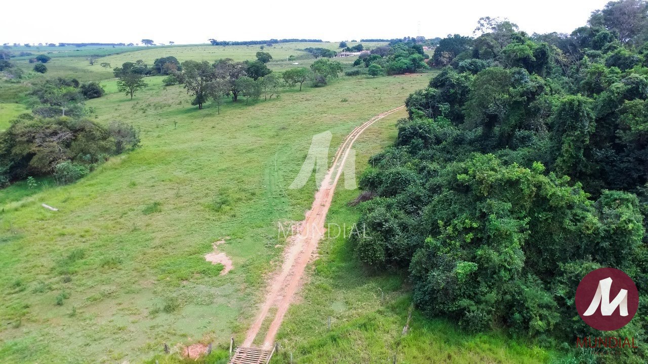 Terreno/Lote — foto 3