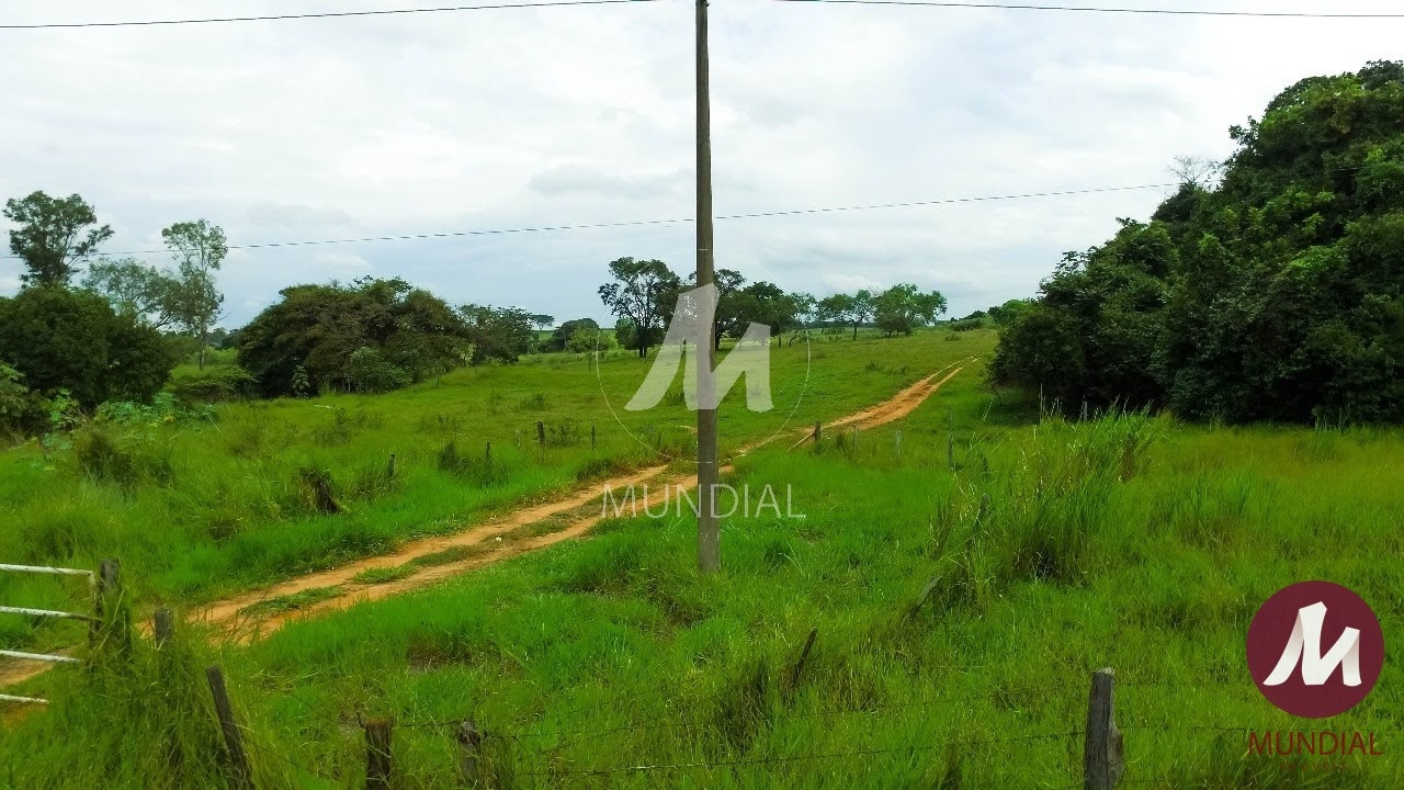 Terreno/Lote — foto 5