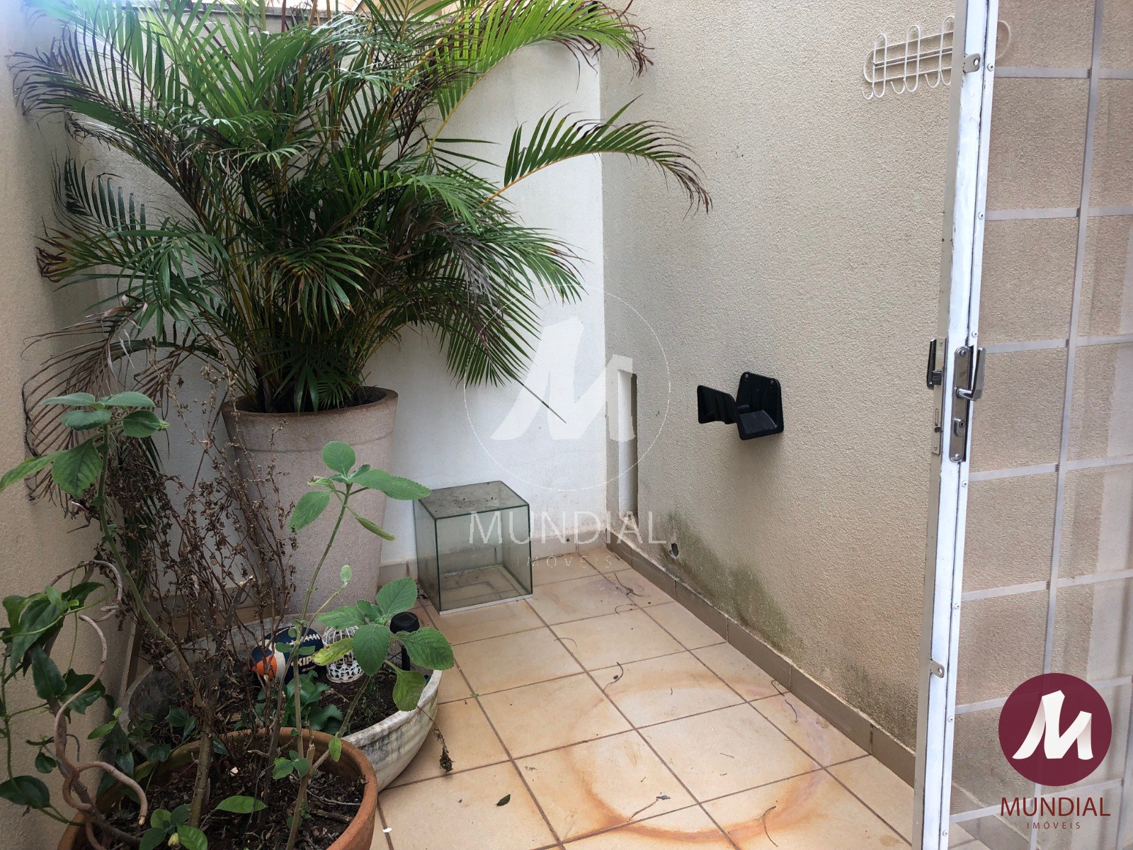 Quintal/corredores — foto 24