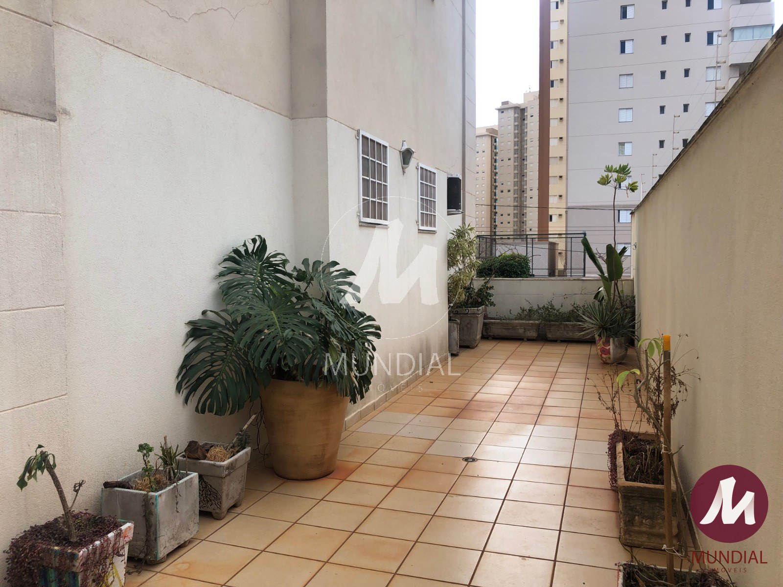 Quintal/corredores — foto 26