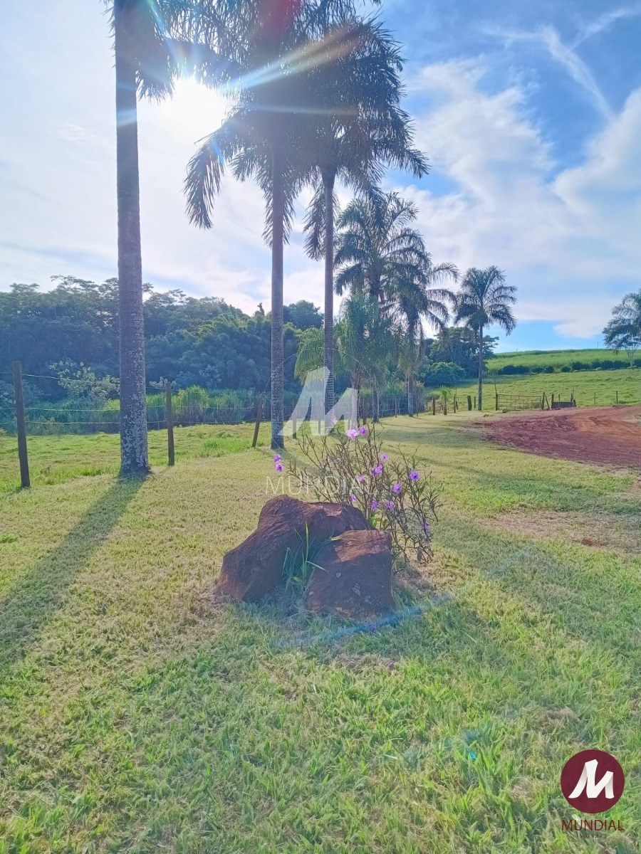 Vista do Imóvel — foto 5