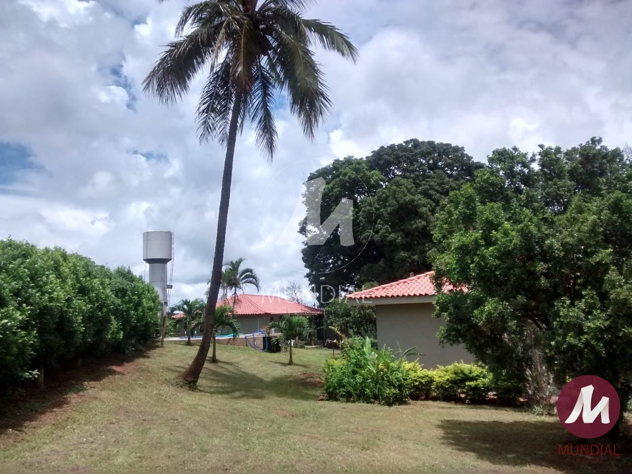 Vista do Imóvel — foto 6