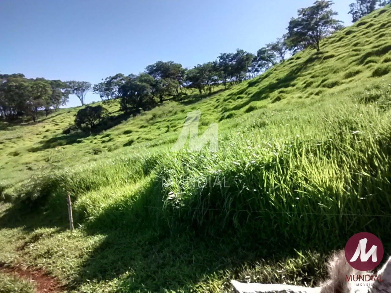 Vista do Imóvel — foto 10