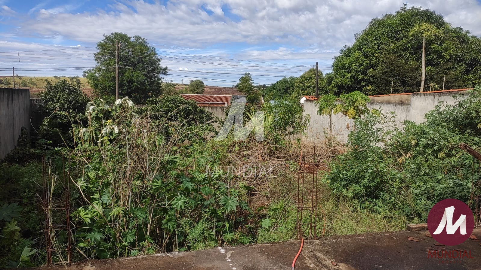 Terreno/Lote — foto 6
