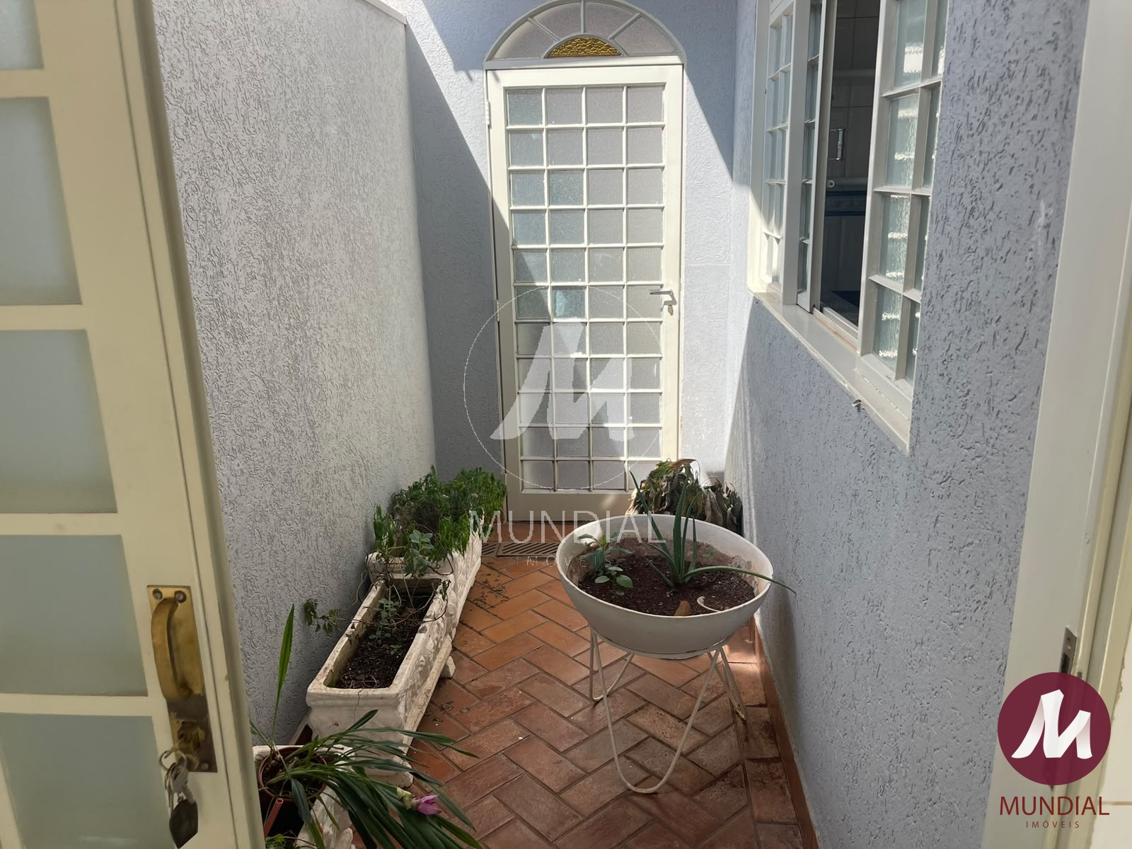 Jardim — foto 21